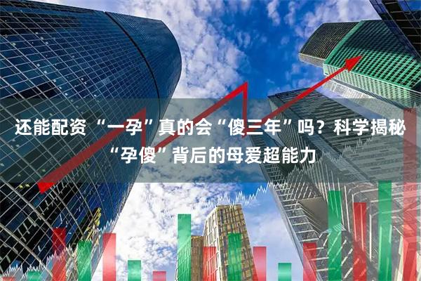 还能配资 “一孕”真的会“傻三年”吗？科学揭秘“孕傻”背后的母爱超能力