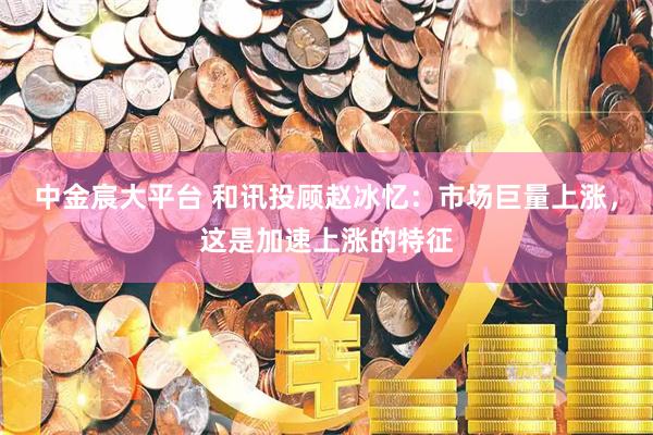 中金宸大平台 和讯投顾赵冰忆：市场巨量上涨，这是加速上涨的特征